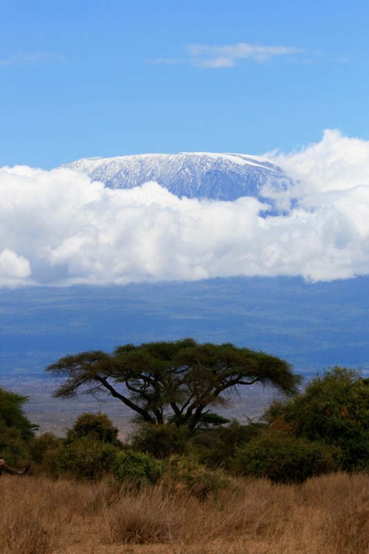 Climbing Kilimanjaro