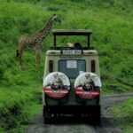 Tanzania Vacation Packages Best Deals & Tours